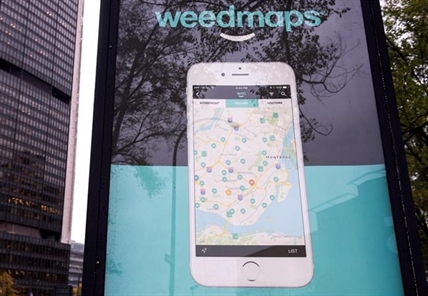 Anti-marijuana activists target ads for 'Weedmaps' app in Montreal | iNFOnews.ca Anti-marijuana activists target ads for 'Weedmaps' app in Montreal | iNFOnews.ca