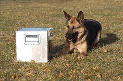 RCMP dogs get trained in central Alberta to detect human remains | iNFOnews.ca