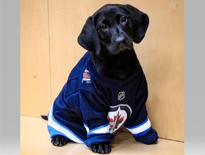 Winnipeg Jets security dog Lenny named after superfan Len Kropioski | iNFOnews.ca Winnipeg Jets security dog Lenny named after superfan Len Kropioski | iNFOnews.ca