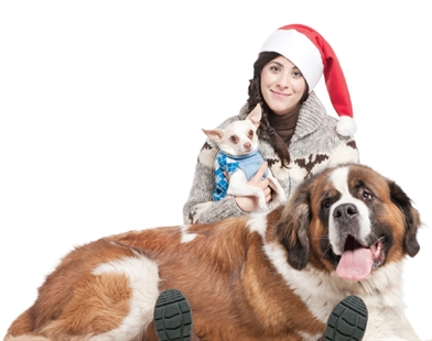 Make Holiday Memories, Not Garbage | iNFOnews.ca