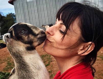 Pets or meat? P.E.I. petting farm gets flak when some goats become donair meat | iNFOnews.ca Pets or meat? P.E.I. petting farm gets flak when some goats become donair meat | iNFOnews.ca