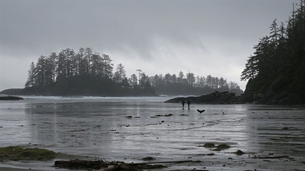 Reservations for some popular Parks Canada sites in B.C. open in early January | iNFOnews.ca Reservations for some popular Parks Canada sites in B.C. open in early January | iNFOnews.ca