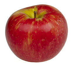 Local apple growers win big | iNFOnews.ca Local apple growers win big | iNFOnews.ca