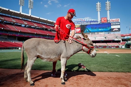Sports quirks of the year: Basepath chaos, donkey gift, sunken earring | iNFOnews.ca