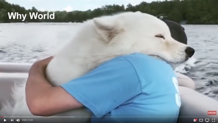 TRENDING NOW: Animals hugging humans | iNFOnews.ca