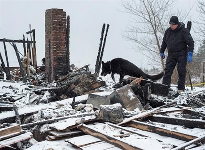 Cadaver dog searches rubble after Nova Scotia house fire that killed four people | iNFOnews.ca Cadaver dog searches rubble after Nova Scotia house fire that killed four people | iNFOnews.ca
