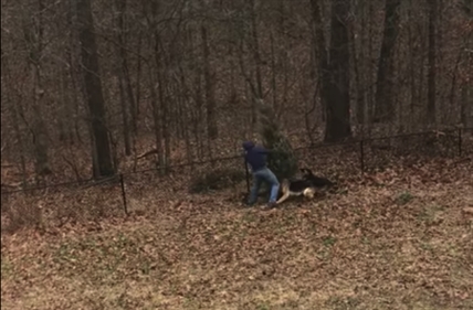 TRENDING NOW: Helping around the yard | iNFOnews.ca