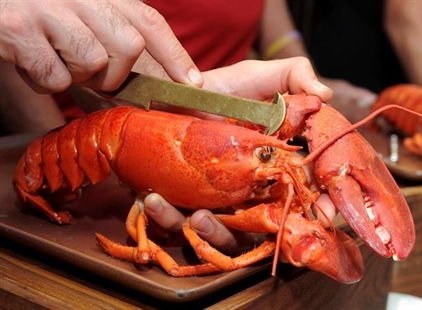 Nova Scotia brewery offering a lobster beer, despite some skepticism | iNFOnews.ca