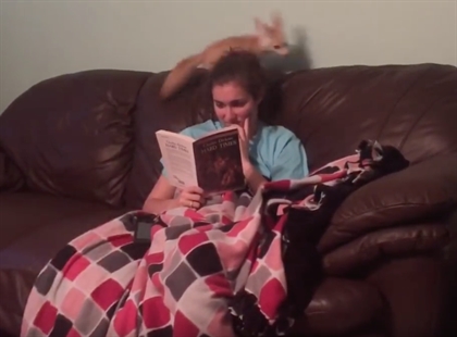 TRENDING NOW: Adorable hyper fox makes reading a challenge | iNFOnews.ca