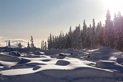 Snow storm left dozens stranded at Vancouver Island ski resort | iNFOnews.ca Snow storm left dozens stranded at Vancouver Island ski resort | iNFOnews.ca