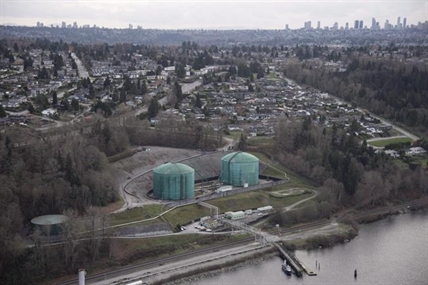 Burnaby seeks appeal over tree cutting permits involving Trans Mountain pipeline | iNFOnews.ca Burnaby seeks appeal over tree cutting permits involving Trans Mountain pipeline | iNFOnews.ca