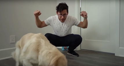 TRENDING NOW: Dog gets intelligence test | iNFOnews.ca TRENDING NOW: Dog gets intelligence test | iNFOnews.ca