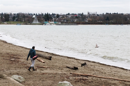 No adverse effects from 2011 Fukushima nuclear disaster on BC coast: researchers | iNFOnews.ca No adverse effects from 2011 Fukushima nuclear disaster on BC coast: researchers | iNFOnews.ca