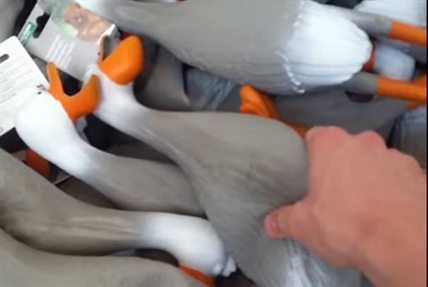 What does Kelowna Rockets announcer have in common with a shopping cart full of ducks? | iNFOnews.ca