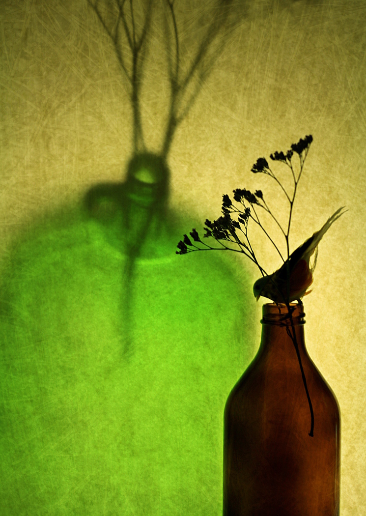 Small club, big talent: Vernon photographers thrilled over gold medal win | iNFOnews.ca