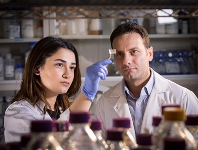 Transparent patch designed to detect pathogens like E. coli in packaged foods | iNFOnews.ca