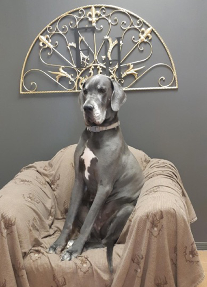 A new experience awaits pets in the South Okanagan | iNFOnews.ca A new experience awaits pets in the South Okanagan | iNFOnews.ca