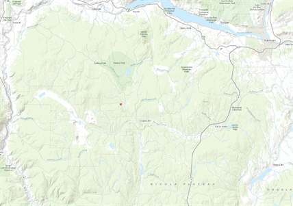 UPDATE: Wildfire near Logan Lake grows, crews continue to battle | iNFOnews.ca