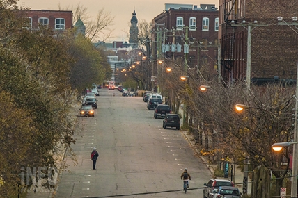 Montreal researchers use willows to decontaminate polluted soil, groundwater | iNFOnews.ca