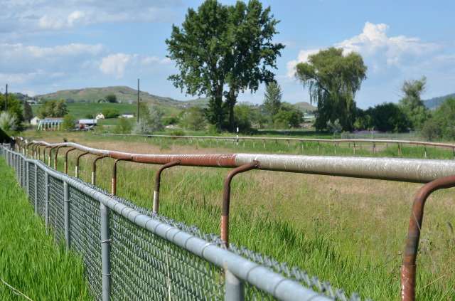iN PHOTOS: Exploring what remains of Vernon's historic Kin Race Track | iNFOnews.ca