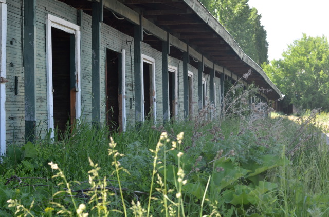 iN PHOTOS: Exploring what remains of Vernon's historic Kin Race Track | iNFOnews.ca