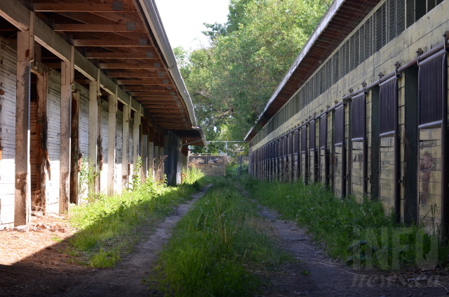 iN PHOTOS: Exploring what remains of Vernon's historic Kin Race Track | iNFOnews.ca
