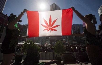 Many employers not ready for legal weed, World Cannabis Congress told | iNFOnews.ca