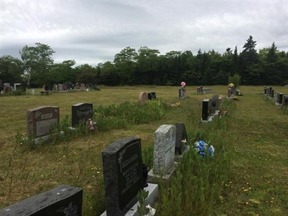 Environmentally friendly funerals? N.B. student says they're within reach | iNFOnews.ca