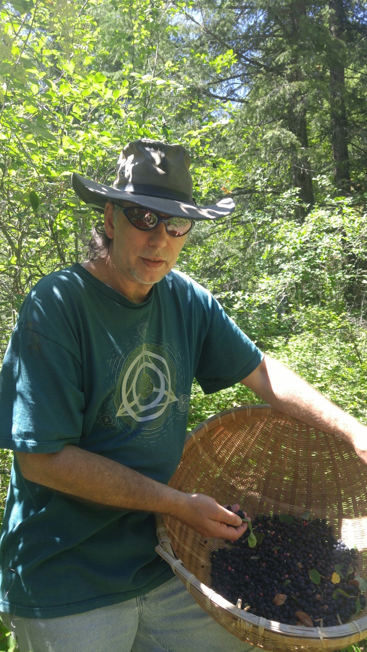 This is the year to try wild Saskatoon berries in the Okanagan | iNFOnews.ca This is the year to try wild Saskatoon berries in the Okanagan | iNFOnews.ca