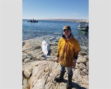 Beluga backlash: Inuk father faces critics after sharing photo of whale harvest | iNFOnews.ca Beluga backlash: Inuk father faces critics after sharing photo of whale harvest | iNFOnews.ca