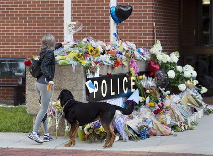 Fredericton police collect cards, flowers left at makeshift memorial | iNFOnews.ca