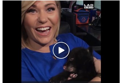 TRENDING NOW: Purring bear cub | iNFOnews.ca TRENDING NOW: Purring bear cub | iNFOnews.ca