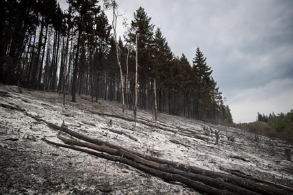 More land burned but fewer affected than last year: B.C. Wildfire Service | iNFOnews.ca More land burned but fewer affected than last year: B.C. Wildfire Service | iNFOnews.ca