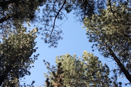 Hot springs owner to address nudity, drugs, other issues | iNFOnews.ca