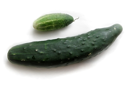 Health officials investigate salmonella outbreak that may be linked to cucumbers | iNFOnews.ca