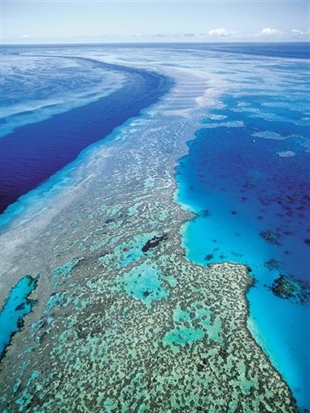 International panel's leaked report predicts more illness, war, disease with global warming | iNFOnews.ca