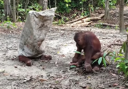 TRENDING NOW: Look at me, I'm a ghost! | iNFOnews.ca