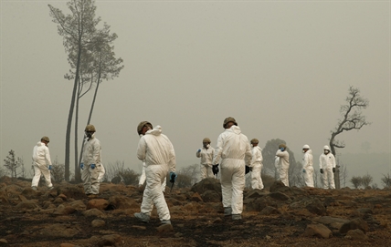iN VIDEO: Fire death toll at 56 and counting in Northern California | iNFOnews.ca iN VIDEO: Fire death toll at 56 and counting in Northern California | iNFOnews.ca