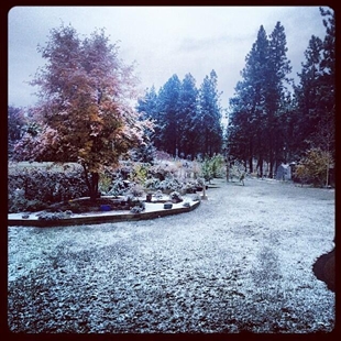 Winter arrives: Your reactions | iNFOnews.ca