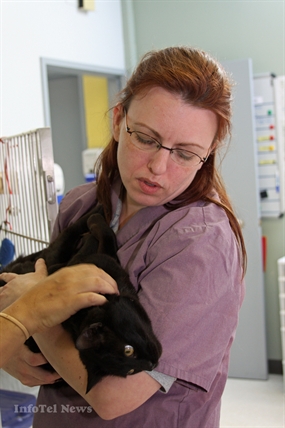 UPDATE: Ringworm outbreak closes shelter for at least six weeks | iNFOnews.ca