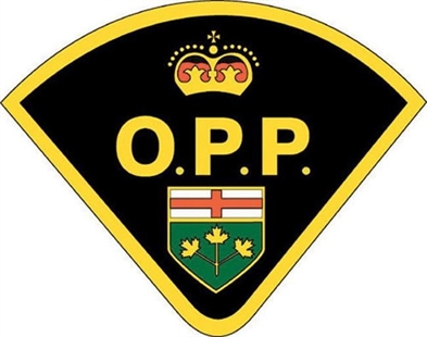 Controversial appointment of Toronto cop, Ford ally as OPP commissioner delayed | iNFOnews.ca