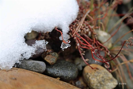 IN PICTURES: Fall and winter collide | iNFOnews.ca