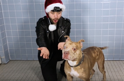 TRENDING NOW: Adorable dogs treated to some magic | iNFOnews.ca