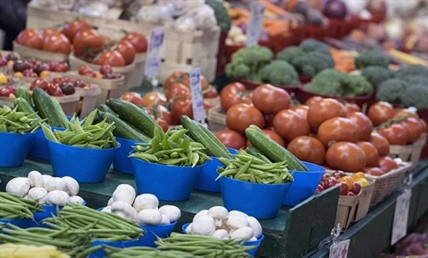 Cheesed off: Food Guide makeover worries farmers as government prepares release | iNFOnews.ca Cheesed off: Food Guide makeover worries farmers as government prepares release | iNFOnews.ca