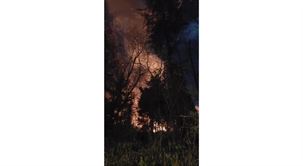 Fire next door to B.C. pipeline fuel tank facility under control | iNFOnews.ca