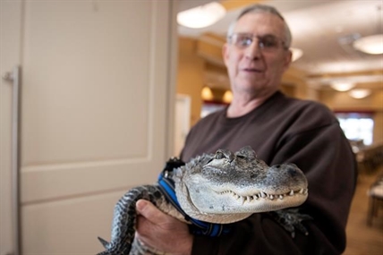 Man says emotional support alligator helps his depression | iNFOnews.ca