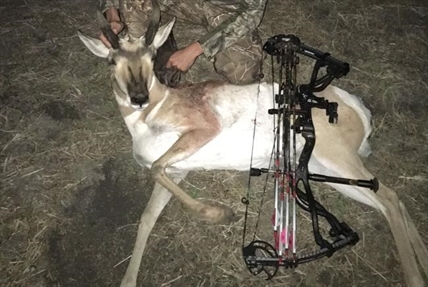 U.S. hunters use duck hunting ruse to poach Canadian deer | iNFOnews.ca U.S. hunters use duck hunting ruse to poach Canadian deer | iNFOnews.ca