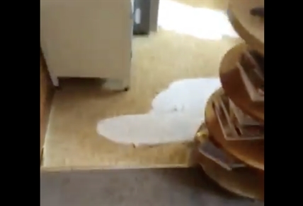 TRENDING NOW: Brother home alone with overflowing dishwasher | iNFOnews.ca