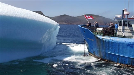 Vodka company CEO scratching his head over Newfoundland iceberg water heist | iNFOnews.ca