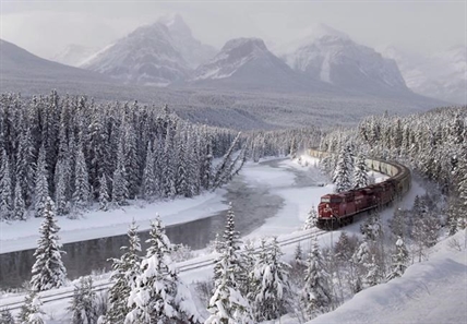 Parks Canada worried spilled grain from derailed CP train will attract grizzlies | iNFOnews.ca Parks Canada worried spilled grain from derailed CP train will attract grizzlies | iNFOnews.ca